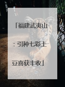 福建武夷山：引种七彩土豆喜获丰收